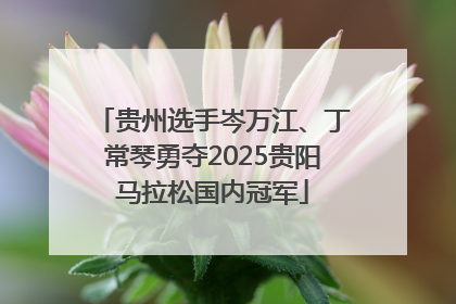 贵州选手岑万江、丁常琴勇夺2025贵阳马拉松国内冠军