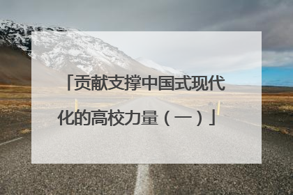 贡献支撑中国式现代化的高校力量（一）