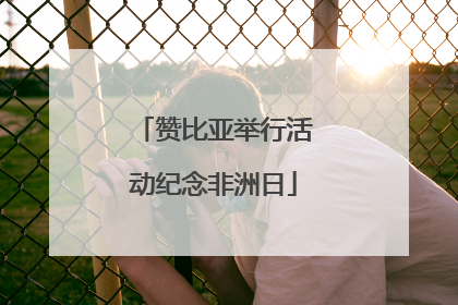 赞比亚举行活动纪念非洲日