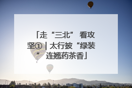 走“三北” 看攻坚①｜太行披“绿装” 连翘药茶香