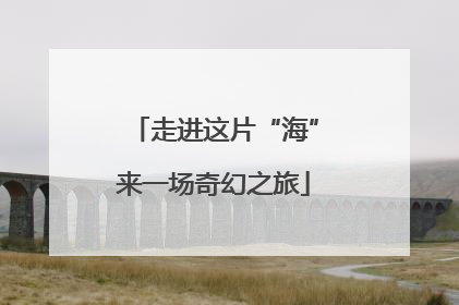 走进这片“海”来一场奇幻之旅