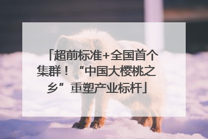 超前标准+全国首个集群！“中国大樱桃之乡”重塑产业标杆