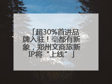 超30%首进品牌入驻！亳都有新象，郑州文商旅新IP将“上线”