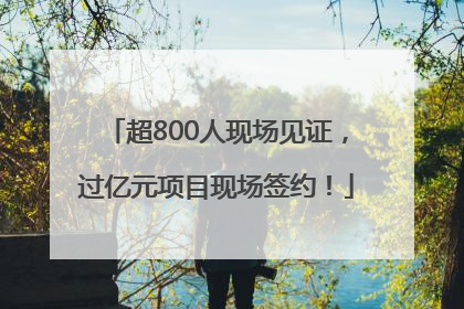 超800人现场见证，过亿元项目现场签约！