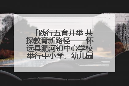 践行五育并举 共探教育新路径——怀远县淝河镇中心学校举行中小学、幼儿园班主任论坛活动