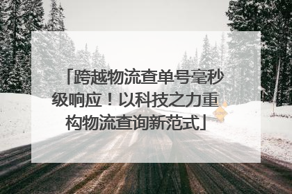 跨越物流查单号毫秒级响应！以科技之力重构物流查询新范式