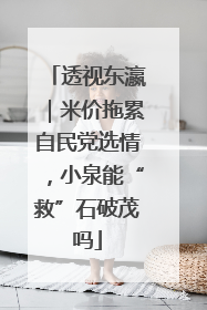 透视东瀛｜米价拖累自民党选情，小泉能“救”石破茂吗