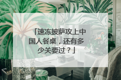 速冻披萨攻上中国人餐桌，还有多少关要过？