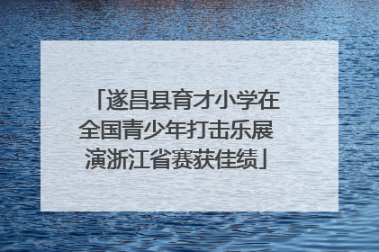 遂昌县育才小学在全国青少年打击乐展演浙江省赛获佳绩