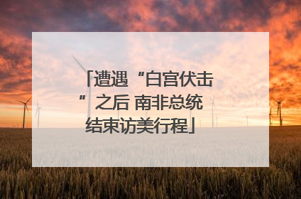 遭遇“白宫伏击”之后 南非总统结束访美行程