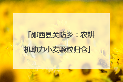 郧西县关防乡：农耕机助力小麦颗粒归仓