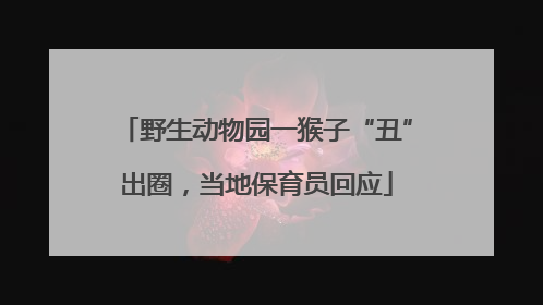 野生动物园一猴子“丑”出圈，当地保育员回应