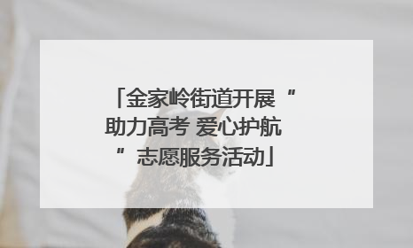 金家岭街道开展“助力高考 爱心护航”志愿服务活动
