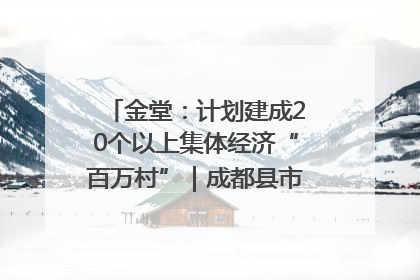金堂：计划建成20个以上集体经济“百万村”｜成都县市新城高质量发展
