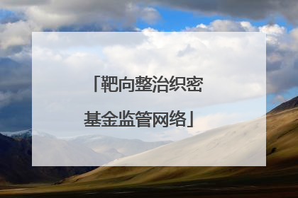 靶向整治织密基金监管网络