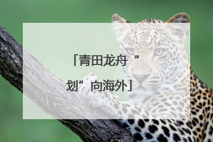 青田龙舟“划”向海外