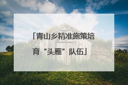青山乡精准施策培育“头雁”队伍