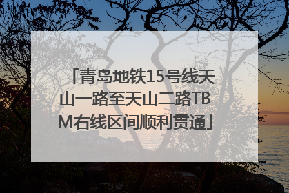 青岛地铁15号线天山一路至天山二路TBM右线区间顺利贯通