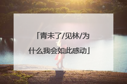 青未了/见林/为什么我会如此感动