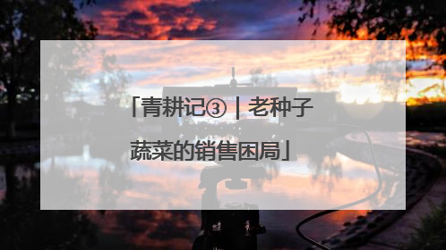 青耕记③｜老种子蔬菜的销售困局