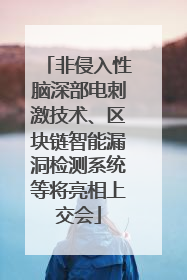 非侵入性脑深部电刺激技术、区块链智能漏洞检测系统等将亮相上交会