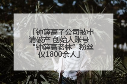 钟薛高子公司被申请破产 创始人账号“钟薛高老林”粉丝仅1800余人