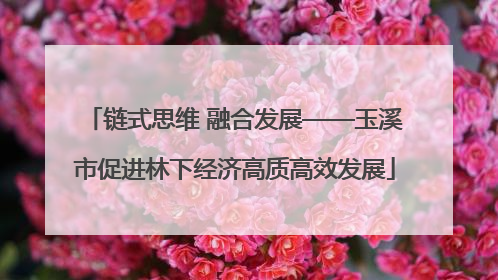 链式思维 融合发展——玉溪市促进林下经济高质高效发展