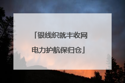 银线织就丰收网 电力护航保归仓