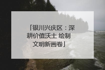 银川兴庆区：深耕价值沃土 绘制文明新画卷