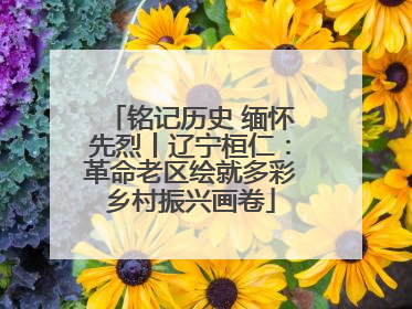 铭记历史 缅怀先烈丨辽宁桓仁：革命老区绘就多彩乡村振兴画卷