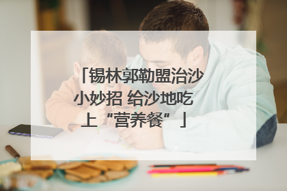 锡林郭勒盟治沙小妙招 给沙地吃上“营养餐”