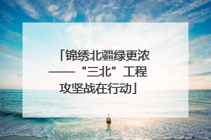 锦绣北疆绿更浓——“三北”工程攻坚战在行动