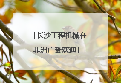 长沙工程机械在非洲广受欢迎