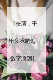 长清：千年文脉邂逅数字浪潮