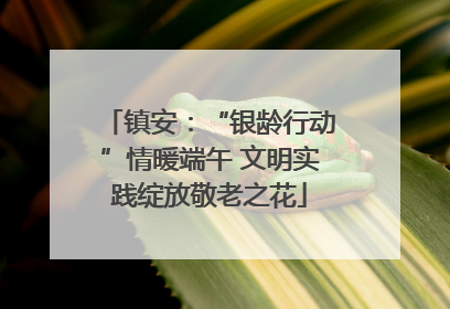 镇安：“银龄行动”情暖端午 文明实践绽放敬老之花