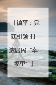 镇平：党建引领 打造居民“幸福里”