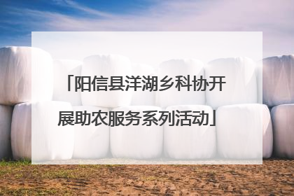 阳信县洋湖乡科协开展助农服务系列活动