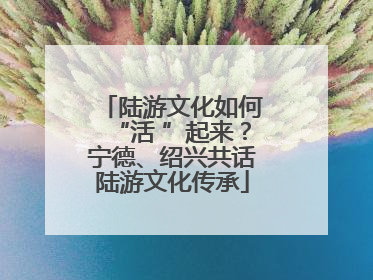 陆游文化如何“活 ”起来？宁德、绍兴共话陆游文化传承