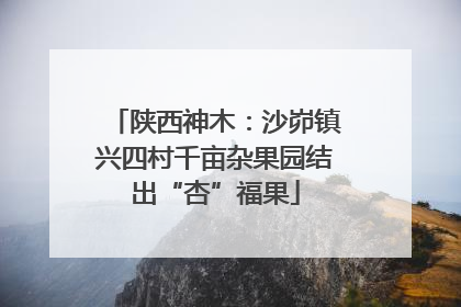 陕西神木：沙峁镇兴四村千亩杂果园结出“杏”福果