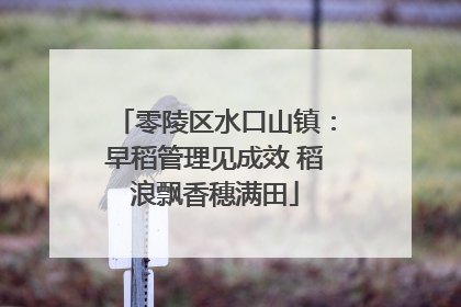 零陵区水口山镇：早稻管理见成效 稻浪飘香穗满田