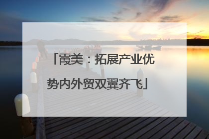 霞美：拓展产业优势内外贸双翼齐飞