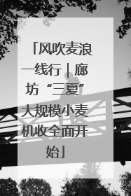 风吹麦浪一线行｜廊坊“三夏”大规模小麦机收全面开始