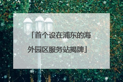 首个设在浦东的海外园区服务站揭牌