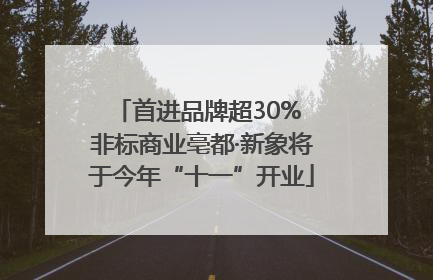 首进品牌超30% 非标商业亳都·新象将于今年“十一”开业