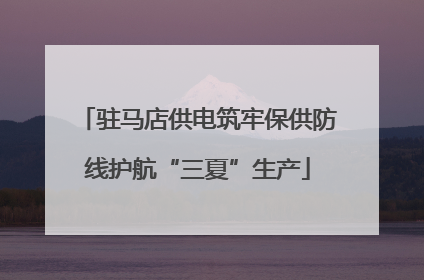驻马店供电筑牢保供防线护航“三夏”生产