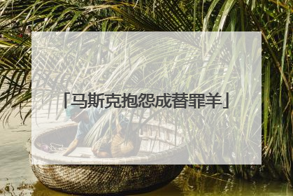 马斯克抱怨成替罪羊