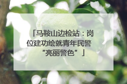 马鞍山边检站：岗位建功绘就青年民警“亮丽警色”