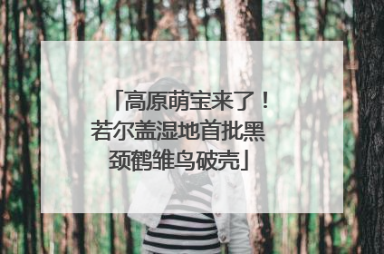 高原萌宝来了！若尔盖湿地首批黑颈鹤雏鸟破壳