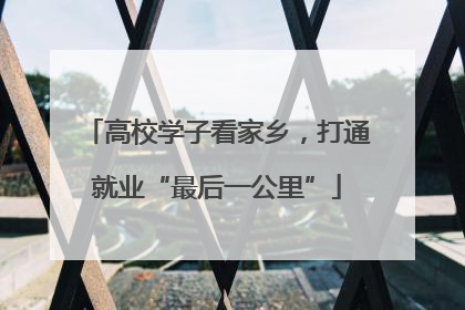高校学子看家乡，打通就业“最后一公里”