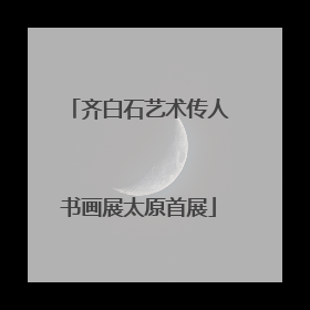 齐白石艺术传人书画展太原首展